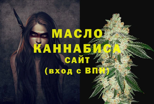 амф Верхний Тагил