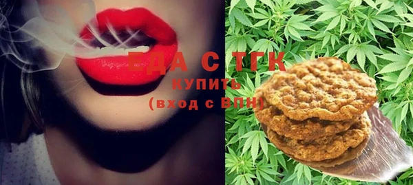амф Верхний Тагил