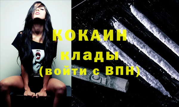 амф Верхний Тагил