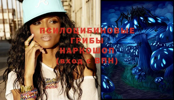 PSILOCYBIN Гусиноозёрск